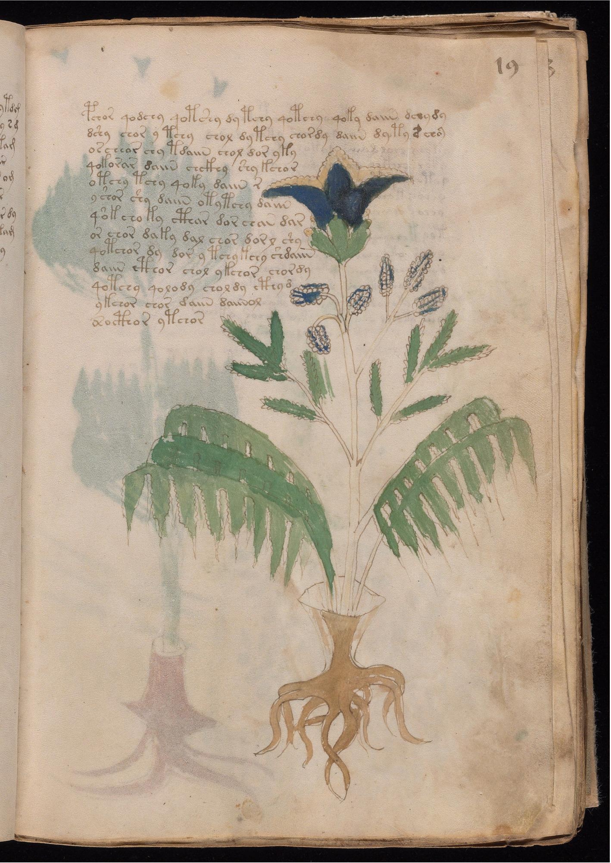 Original manuscript of Folio 19r
